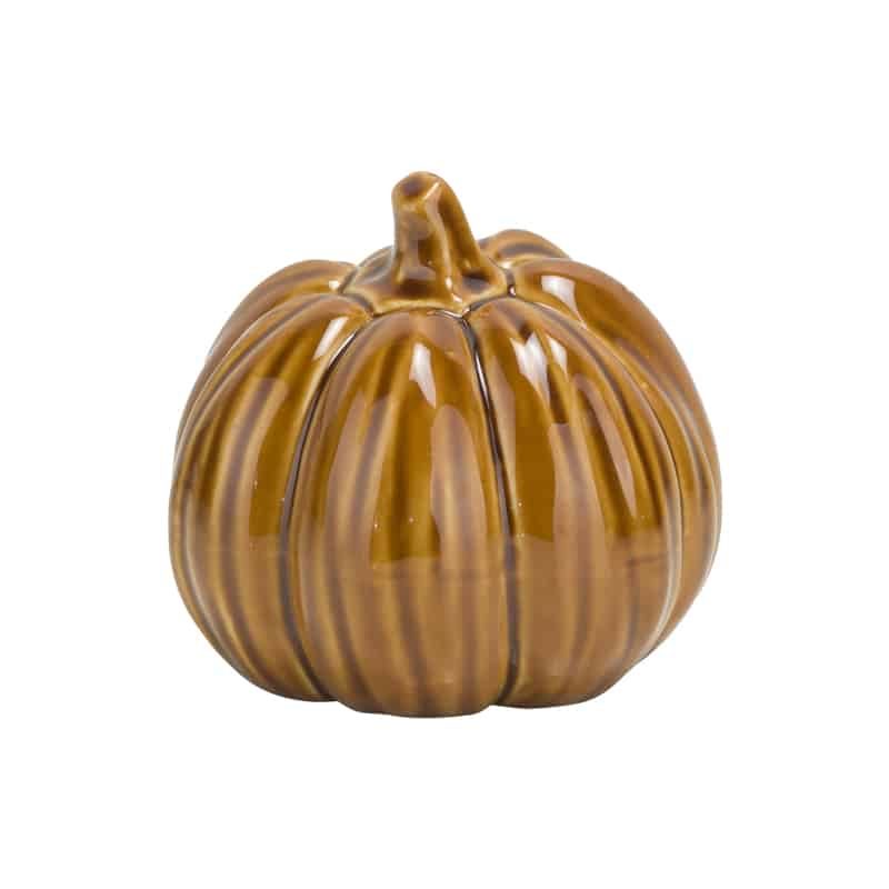 Pompoen pumpkin skin roest ø6,5cm