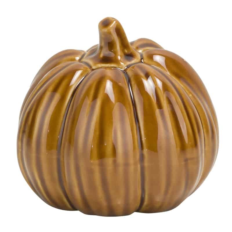 Pompoen pumpkin skin roest ø10cm
