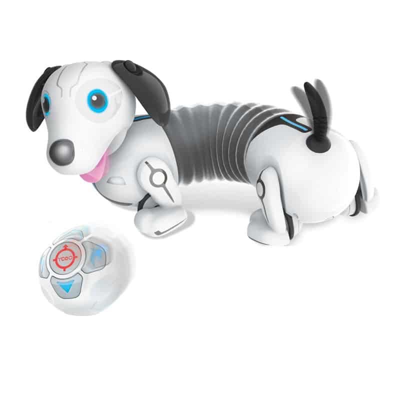 Robo Dackel Puppy