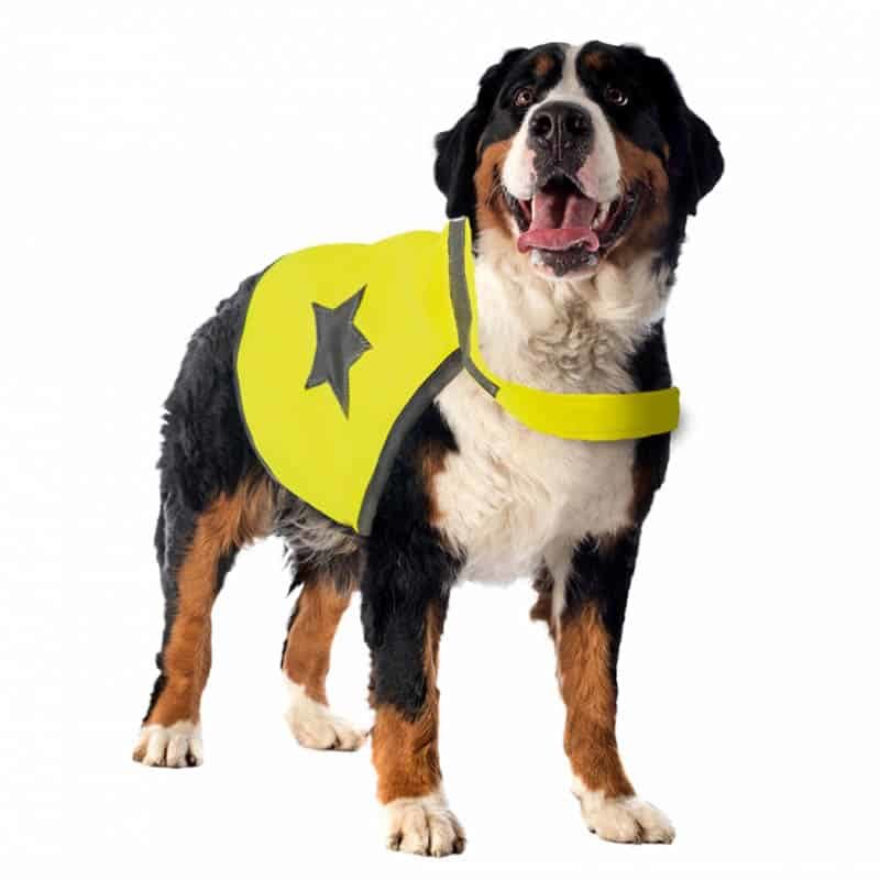 Duvo+ veiligheidsjasje (56cm) fluo