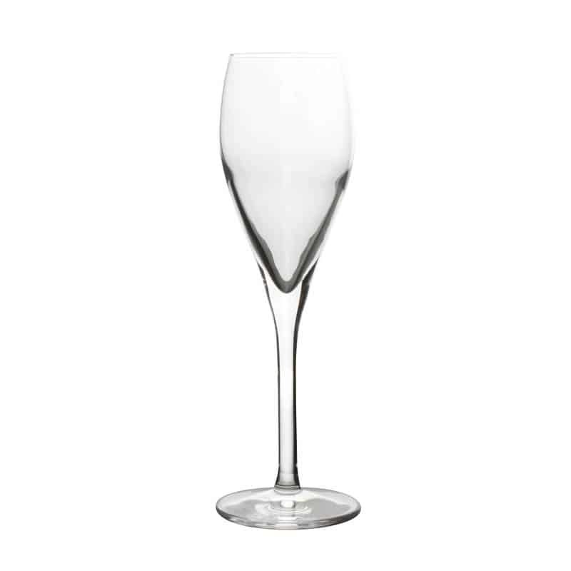 Punto champagneglas (17cl) - 12 stuks