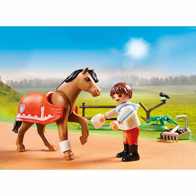 Playmobil Country 70516: Verzamelpony Connemara - Afbeelding 3