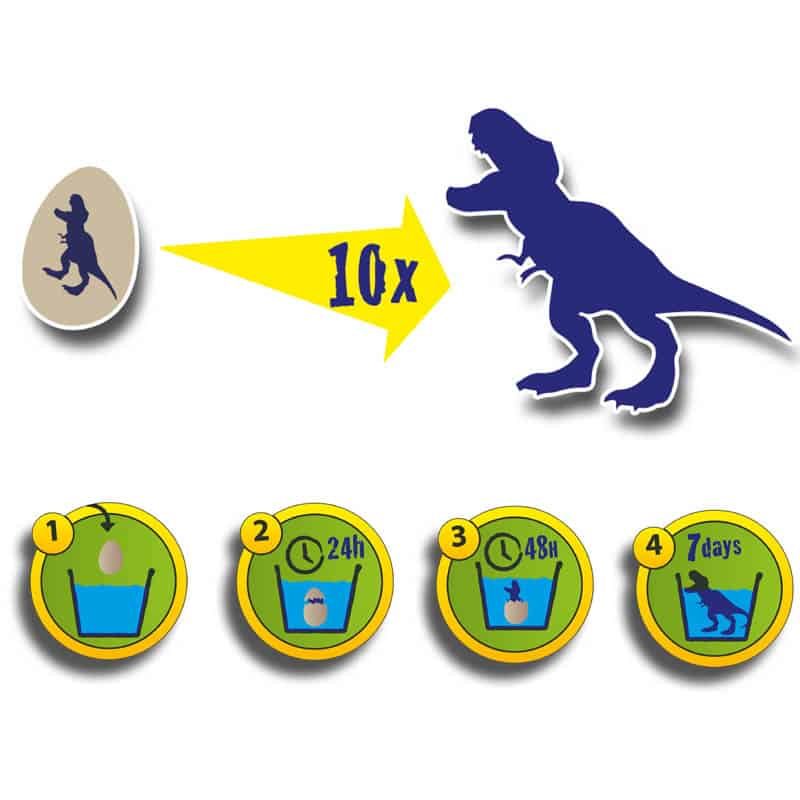 SES Dino uitbroeden - Afbeelding 2