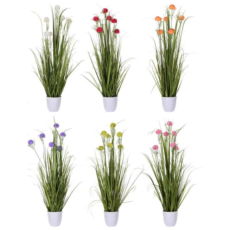 Plant in pot - Afbeelding 2