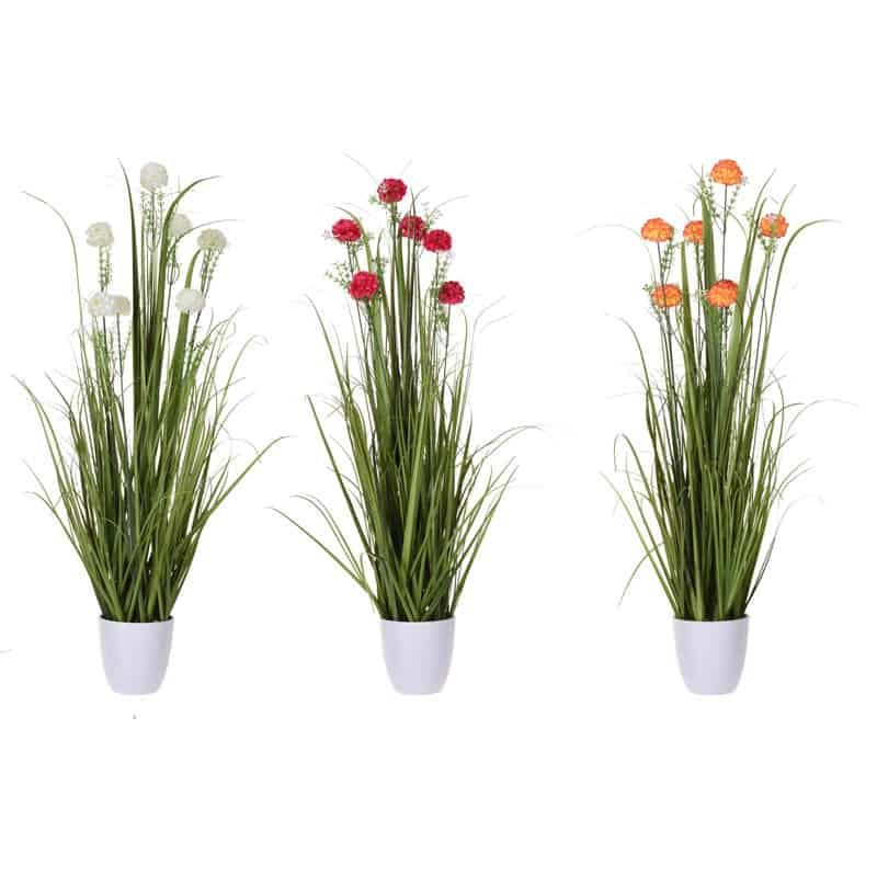 Plant in pot - Afbeelding 3