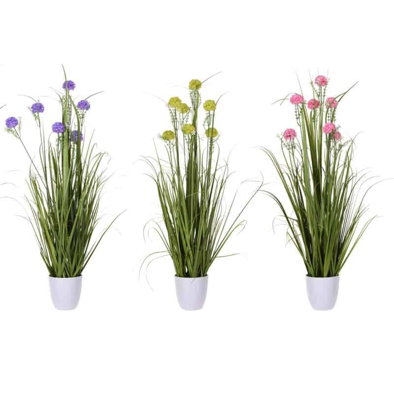 Plant in pot - Afbeelding 4