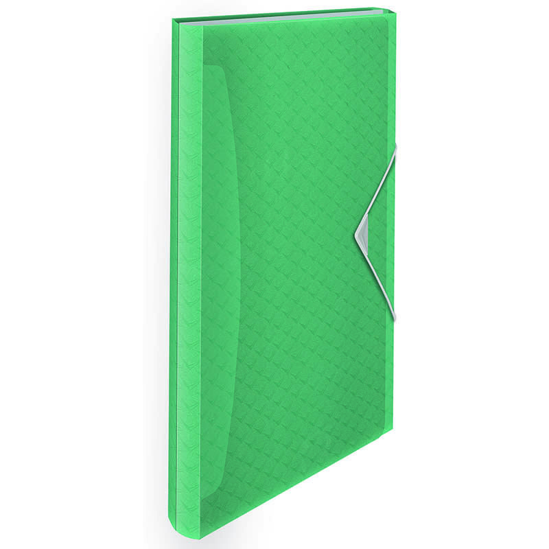 Esselte Projectmap PP - Afbeelding 3