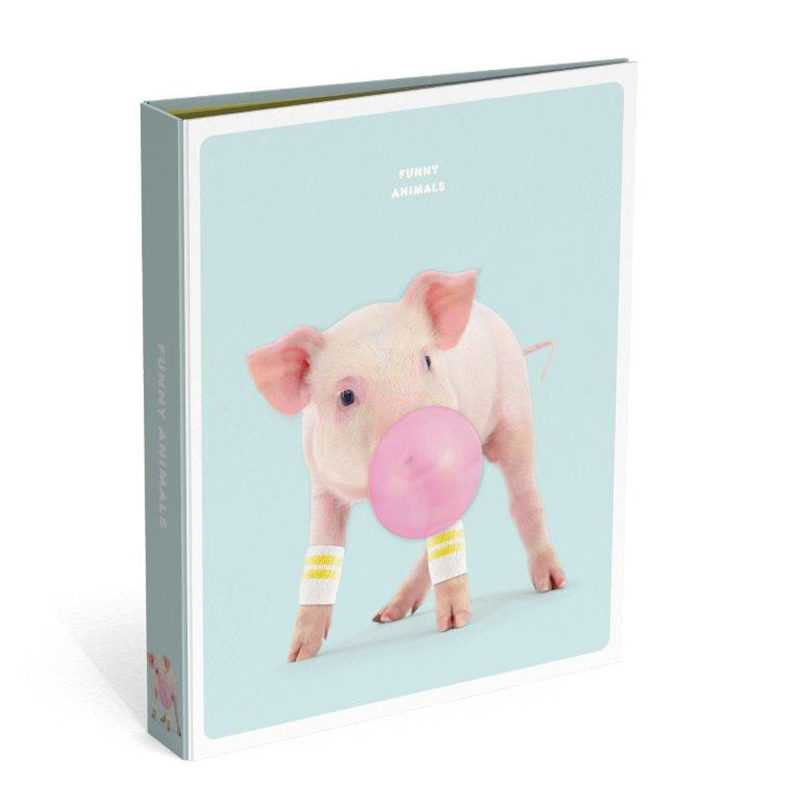 Funny Animals ringband A4 pig mint