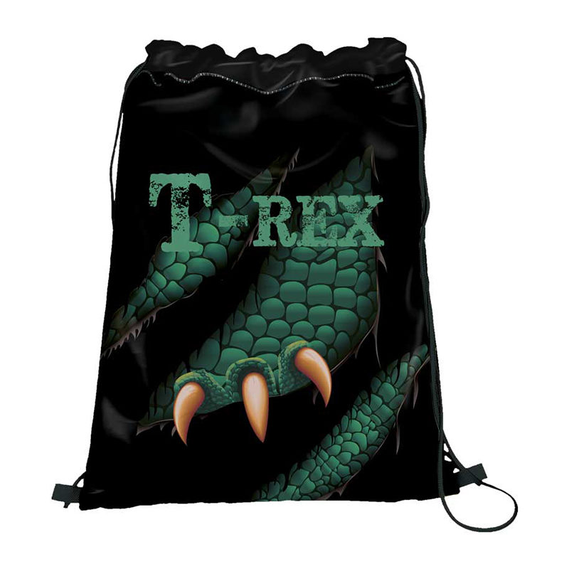 Dino gymtas