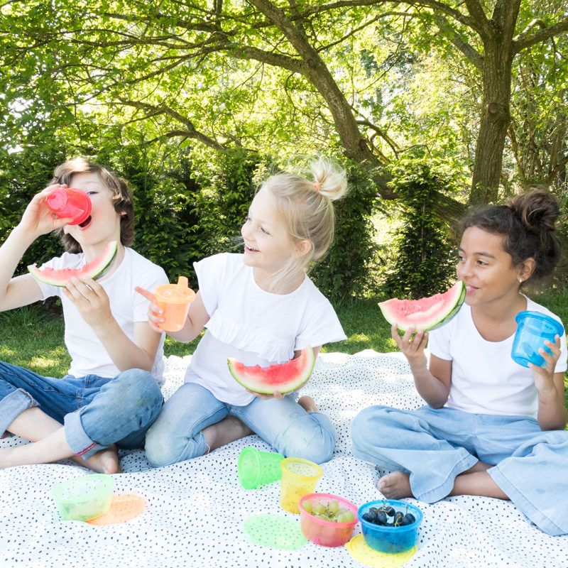 Nuby Picknick kommetjes (6 stuks) met deksel - Afbeelding 2