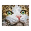 Diamond Dotz Green Eyed Beauty (43x35cm)