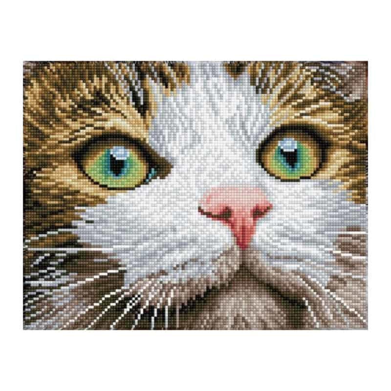 Diamond Dotz Green Eyed Beauty (43x35cm)
