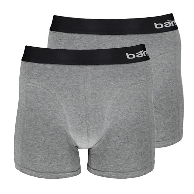 Bamboo Boxer (2 stuks) heren Grijs