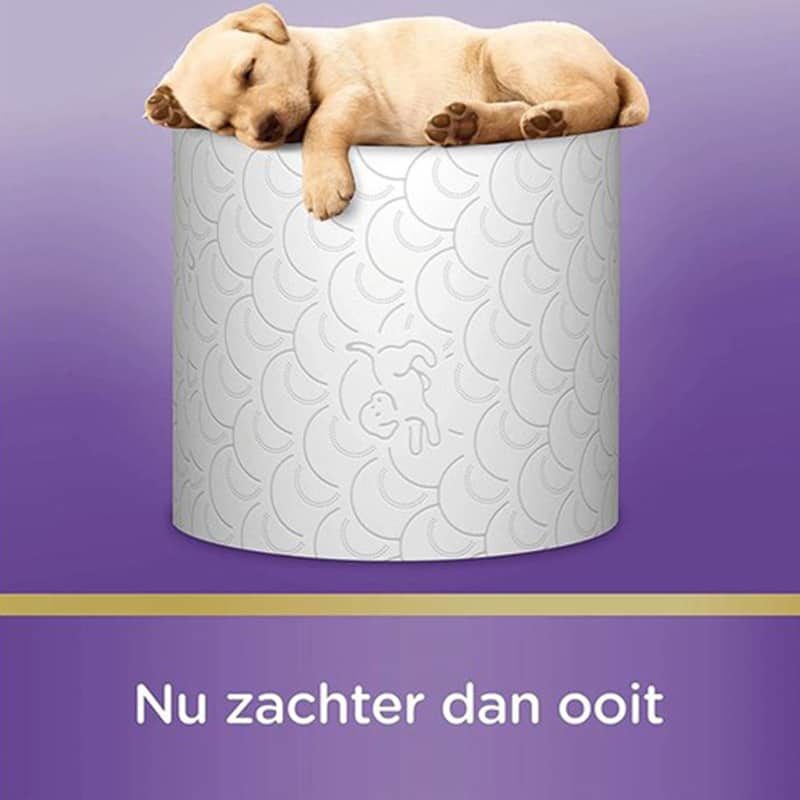 Scottex Kussenzacht wit 20+4 pack - Afbeelding 2