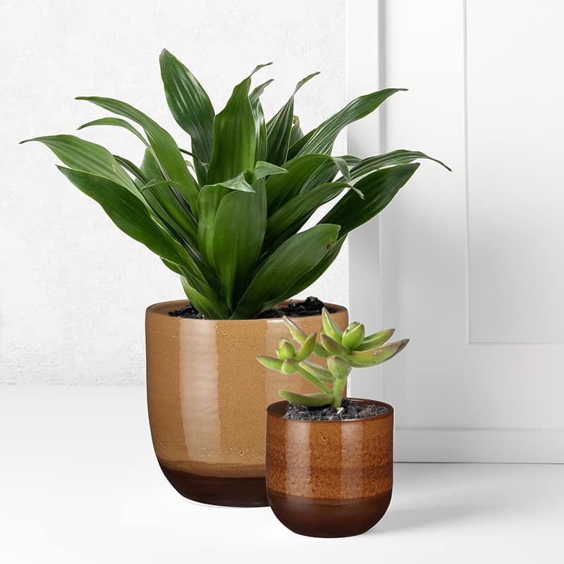 Nora pot (ø17x16cm) oker - Afbeelding 2