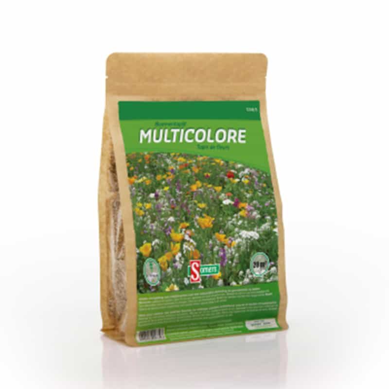 Somers bloemenmix (50m²) - Afbeelding 4
