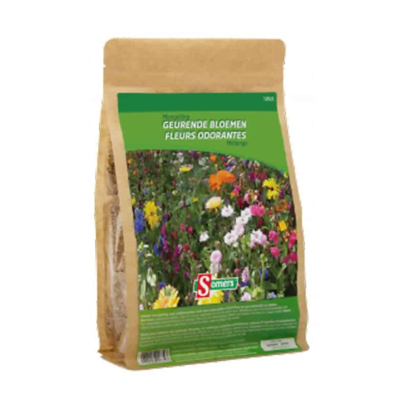 Somers bloemenmix (50m²) - Afbeelding 8