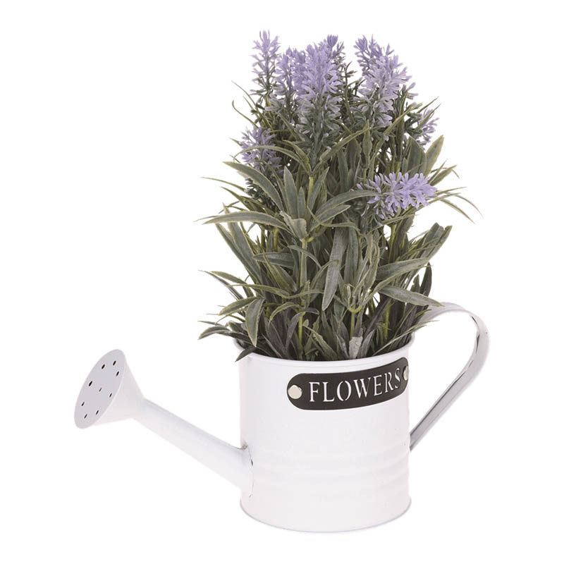 Plant in metalen gieter