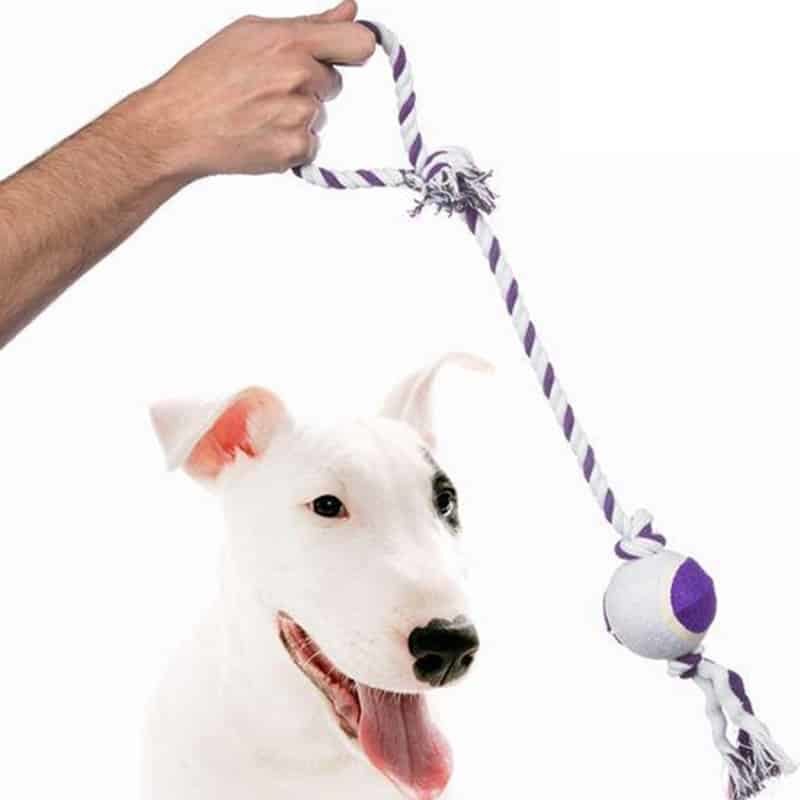 Hondentouw met handvat en bal (52cm, ø6cm)