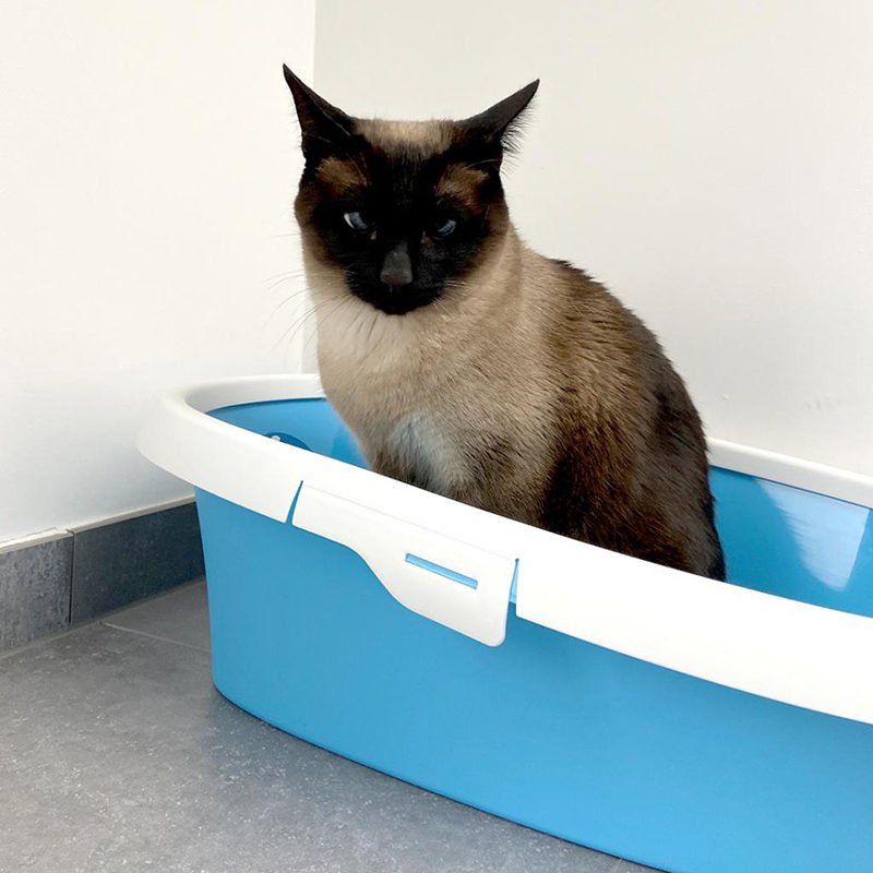 Duvo+ Potige Smurf open kattentoilet (58x39x17cm) Smurf - Afbeelding 2