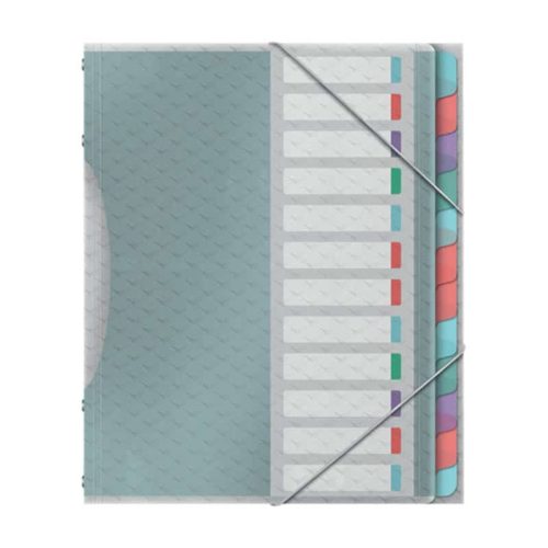 Esselte Divider book PP assortiment 12 tabs