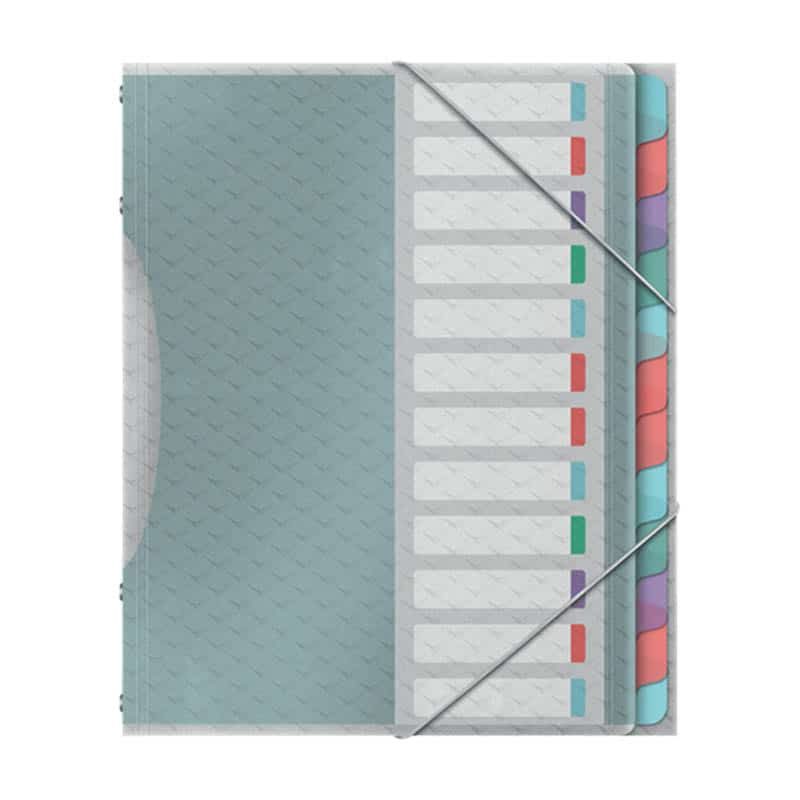 Esselte Divider book PP assortiment 12 tabs