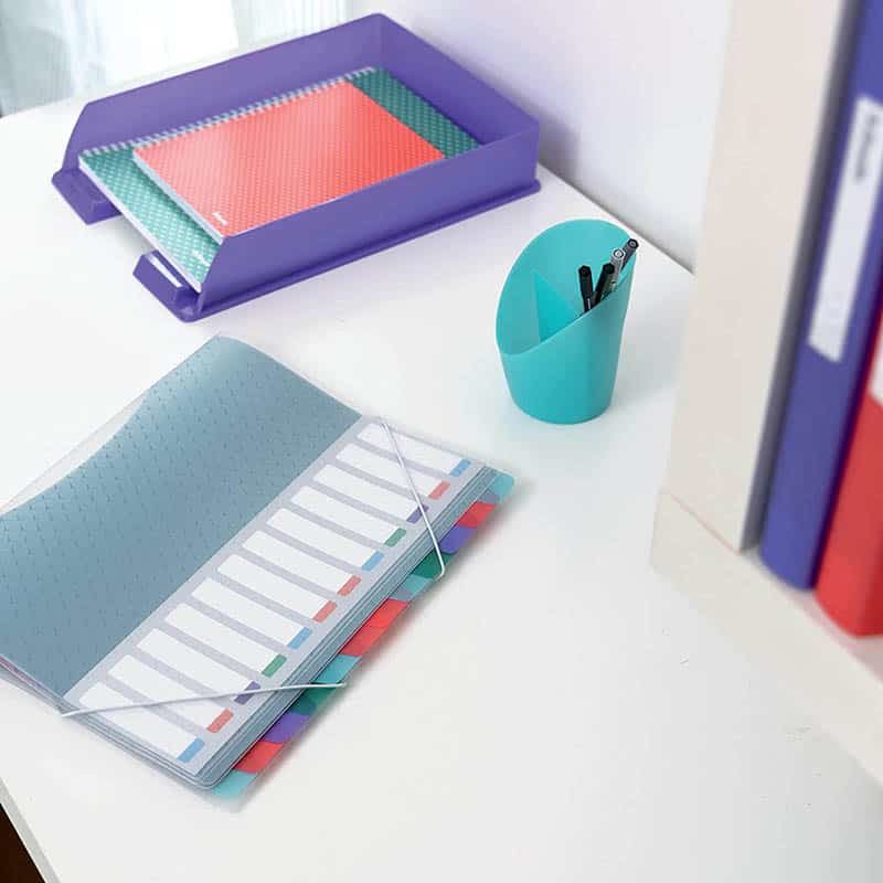 Esselte Divider book PP assortiment 12 tabs - Afbeelding 3