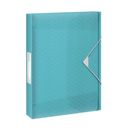 Esselte Documentenbox (25mm) blauw