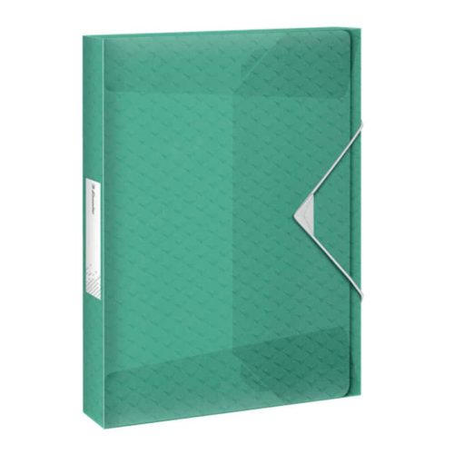 Esselte Documentenbox (25mm) groen