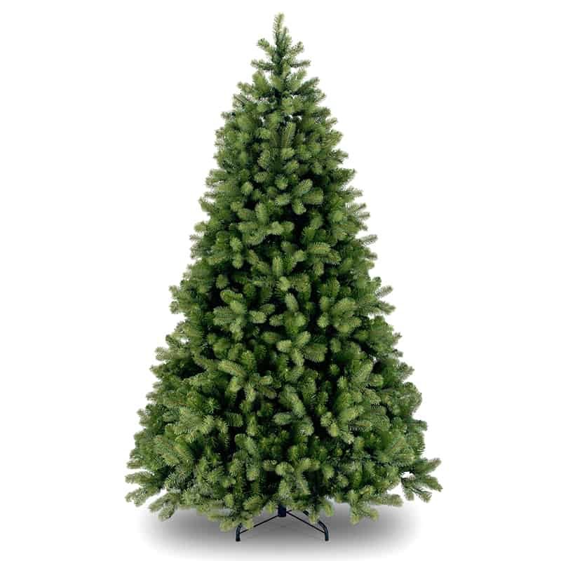 Kerstboom Bayberry Spruce 183cm