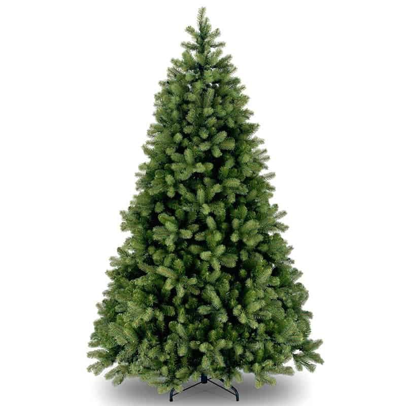 Kerstboom Bayberry Spruce 243cm