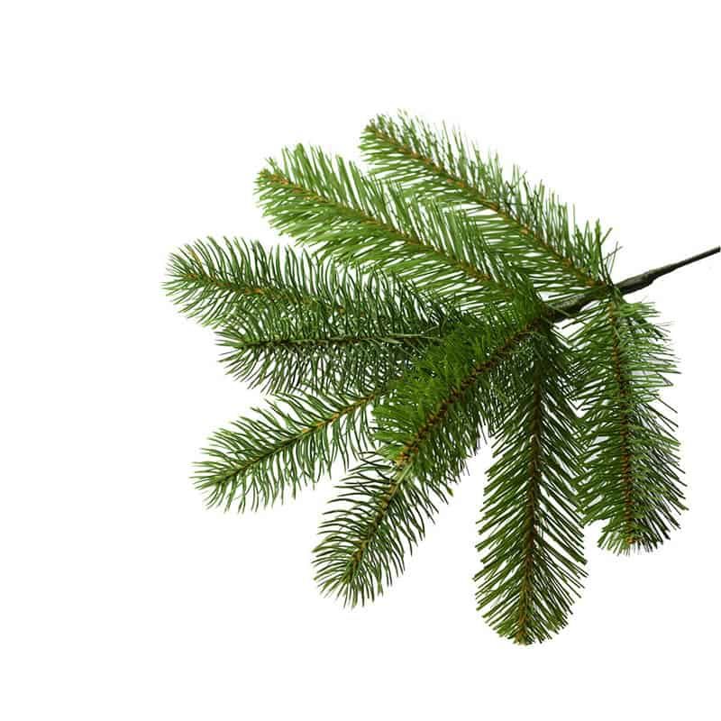 Kerstboom Bayberry Spruce 243cm - Afbeelding 2