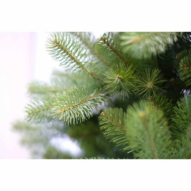 Kerstboom Bayberry Spruce 243cm - Afbeelding 3