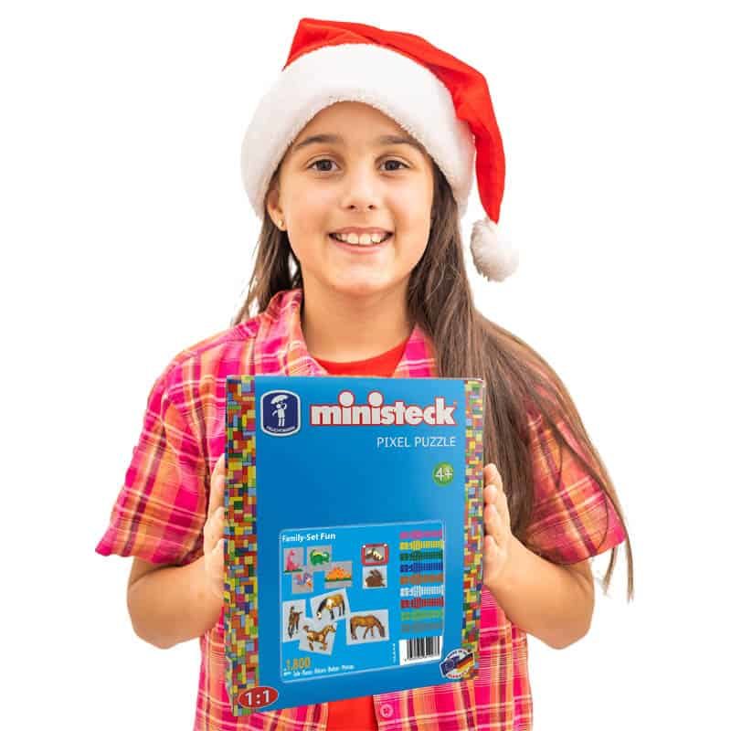 Ministeck Family Set Fun - XL Box - Afbeelding 2
