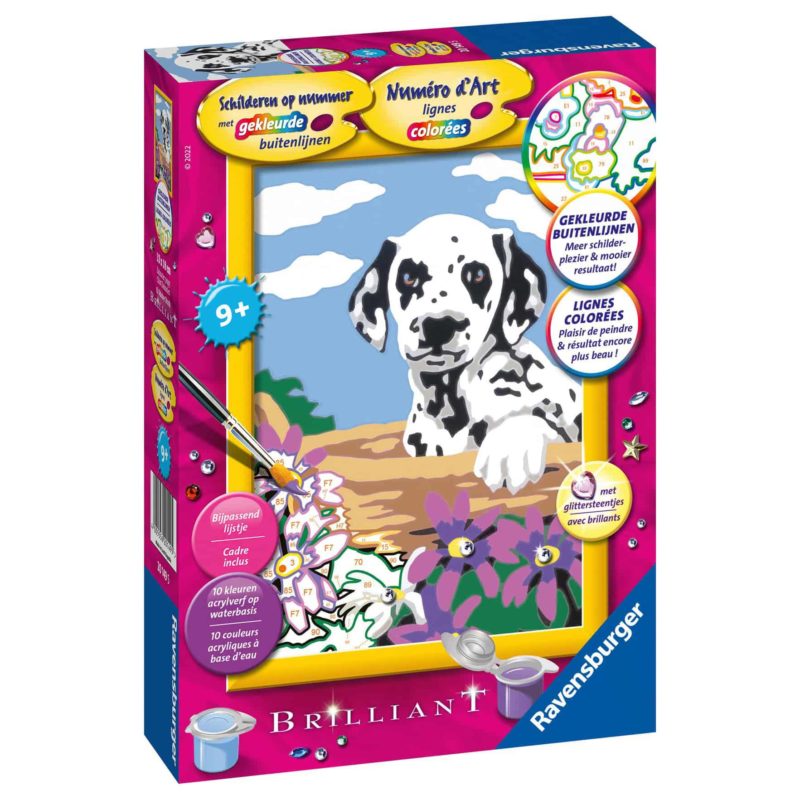 RB Schilderen op nr: Dalmatiër puppy
