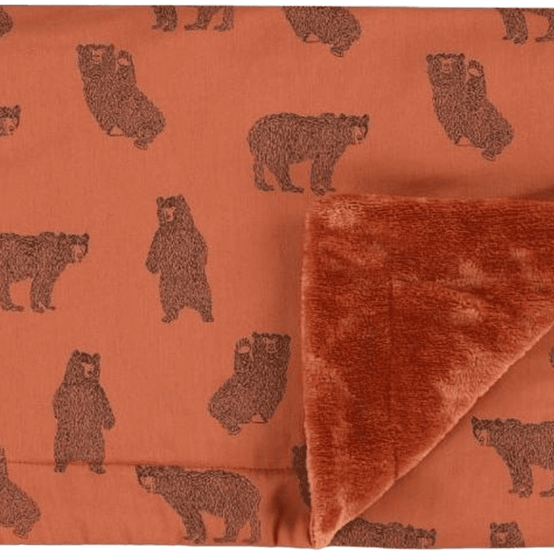 Deken Wieg Brave Bear 75x100cm