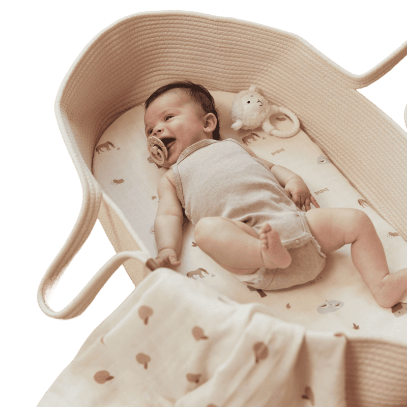 Babynest Plus jade