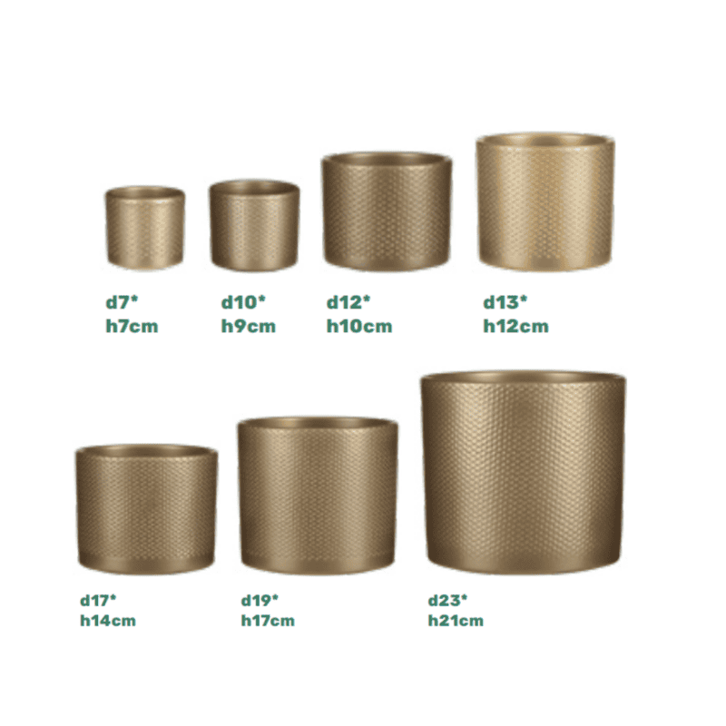 Era pot goud reliëf
