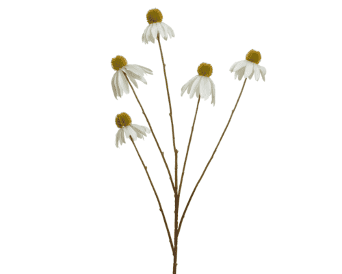 Coneflower op steel(wit)