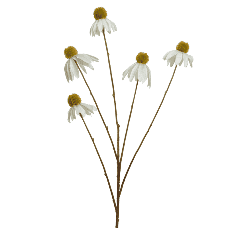 Coneflower op steel(wit)