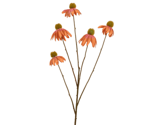 Coneflower op steel (oranje)