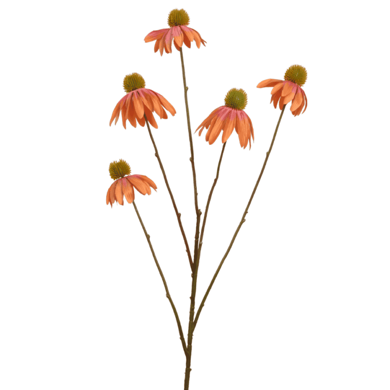 Coneflower op steel (oranje)
