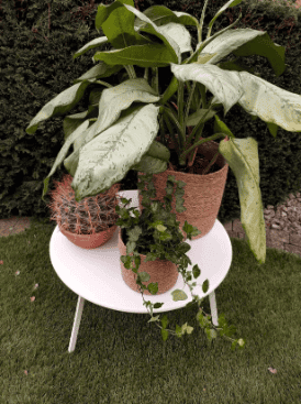 Mand rond cilinder in zeegras dia17xh16cm