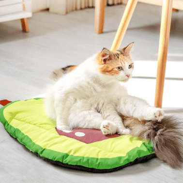 Pet Dierenmat ass.fruit