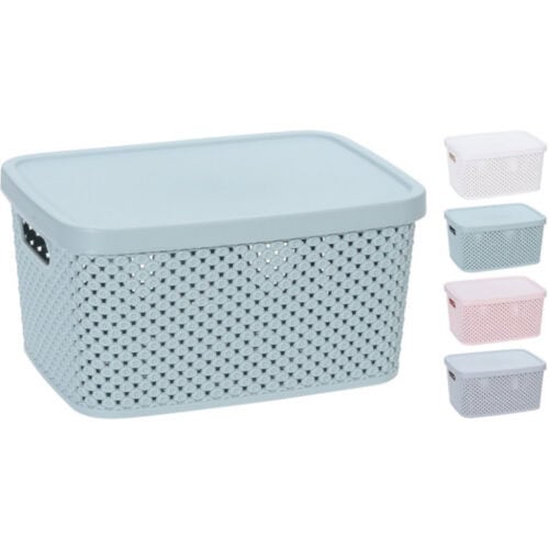 Opbergbox met deksel 3.5L 23x17x12cm 4ass kleuren