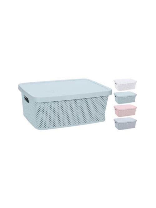 Opbergbox met deksel 13L 28x38x15cm 4ass kleuren