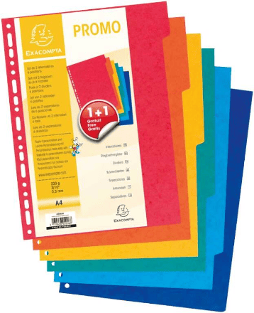 Tabblad A4 - set van 1+1 gratis - 220g/m³glanskarton