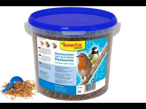 Meelwormen 2.5L emmer buitenvogels