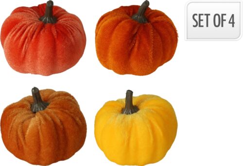 Pompoen velvet 6 cm set 4st