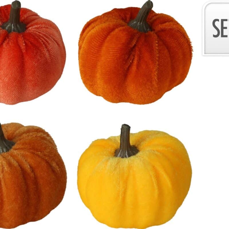 Pompoen velvet 6 cm set 4st